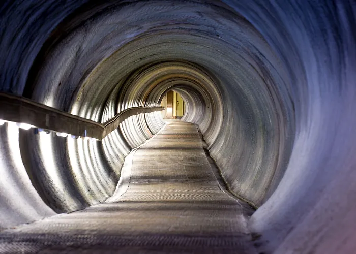 アパート Paradies ツェルマット