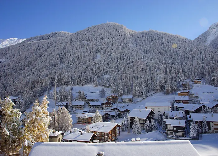 アパート Paradies ツェルマット