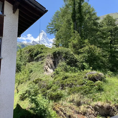 Paradies * زيرمات