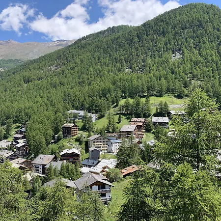 Apartment Paradies *