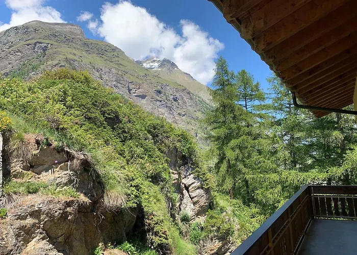 Paradies شقة